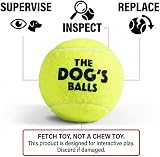 The Dog's Balls Large Yellow Dog Tennis Balls 3-Pack Non Abrasive Felt Floats view 8
