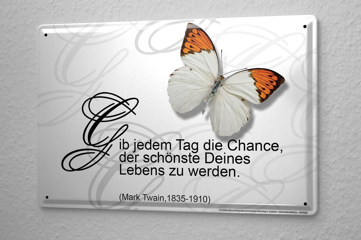 Amazon.de Blechschild Sprüche Schmetterling schönster Tag Metall Wand