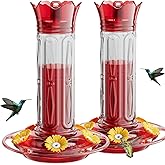 Birdream Hummingbird Feeders for Outdoors Hanging 20 Ounces 10 Feeding Ports, 2 Pack Plastic Humming Bird Feeder with Ant Moat Brush Leak Proof - Red