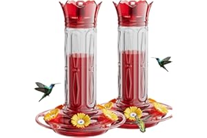 Birdream Hummingbird Feeders for Outdoors Hanging 20 Ounces 10 Feeding Ports, 2 Pack Plastic Humming Bird Feeder with Ant Moat Brush Leak Proof - Red