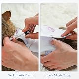 ANWA Cat Recovery Suit Breathable Cat Surgery Jumpsuit for Abdominal Wounds view 4