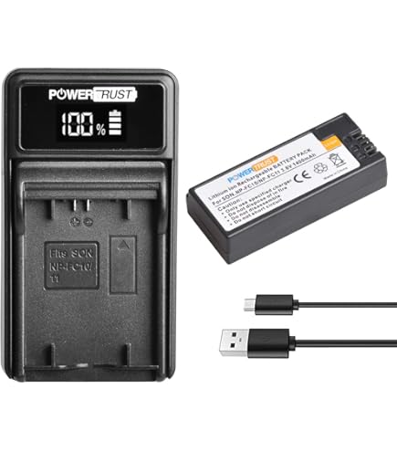 DSTE® (2 pack) Vervangende batterij en DC06E Travel Charger Compatibel