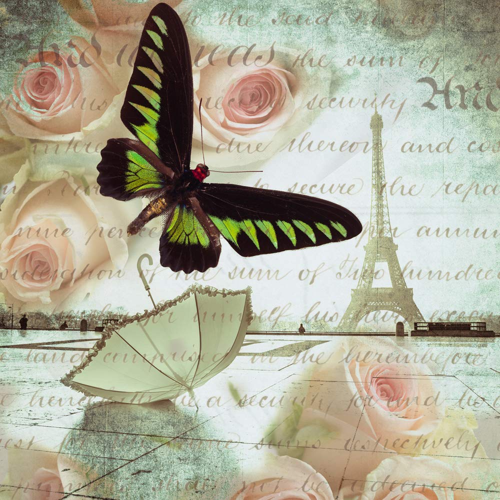 International Graphics - Finished Picture - Assaf, Frank - ''Butterfly II''- 30 x 30 cm - Direct printing on acrylic glass