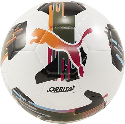PUMA Orbita 6 MS