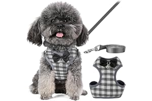 Tkxjry Dog & Cat Harness Leash Set, with 1.2 M Leash, Adjustable Soft Cat Vest Harness, Rabbit Harness for Walking Escape Pro