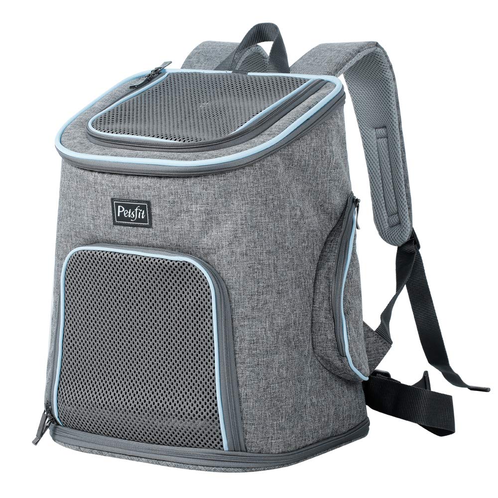 Dog Backpack Carrier Amazon Literacy Basics