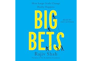 Big Bets: How Large-Scale Change Really Happens