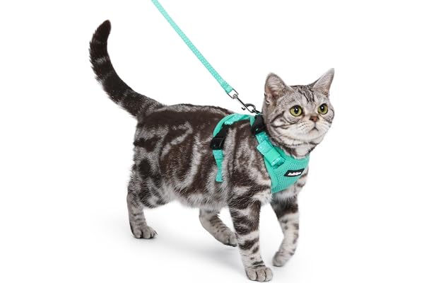 rabbitgoo Cat Harness and Leash, Easy-on with Neck Buckle, Green | Escape Proof, No Over-the-head, Soft Air Mesh, 3 Lockable