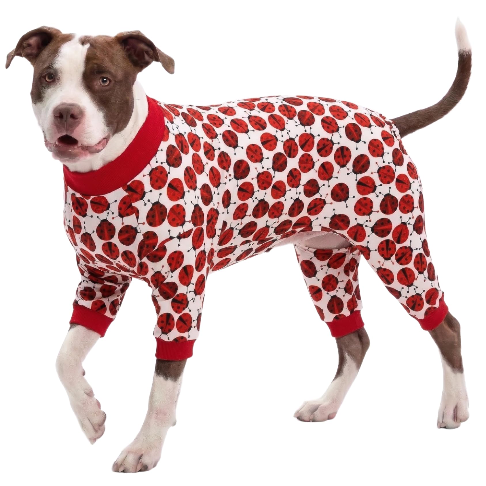LovinPet Large Dogs Pajamas Clothes, Pitbull Onesie, Slim Fit, Lightweight Pullover Pajamas, Pitbull Clothes, Full Coverage Dog Pjs, Red Ladybug Prints, Full Coverage Large Breed Dog Pjs, XL