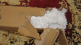 Review Image by Pennsylvanian