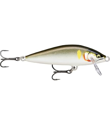 Amazon.com: Rapala Countdown Elite 3.7 inches (9.5 cm) Ayu Fishing
