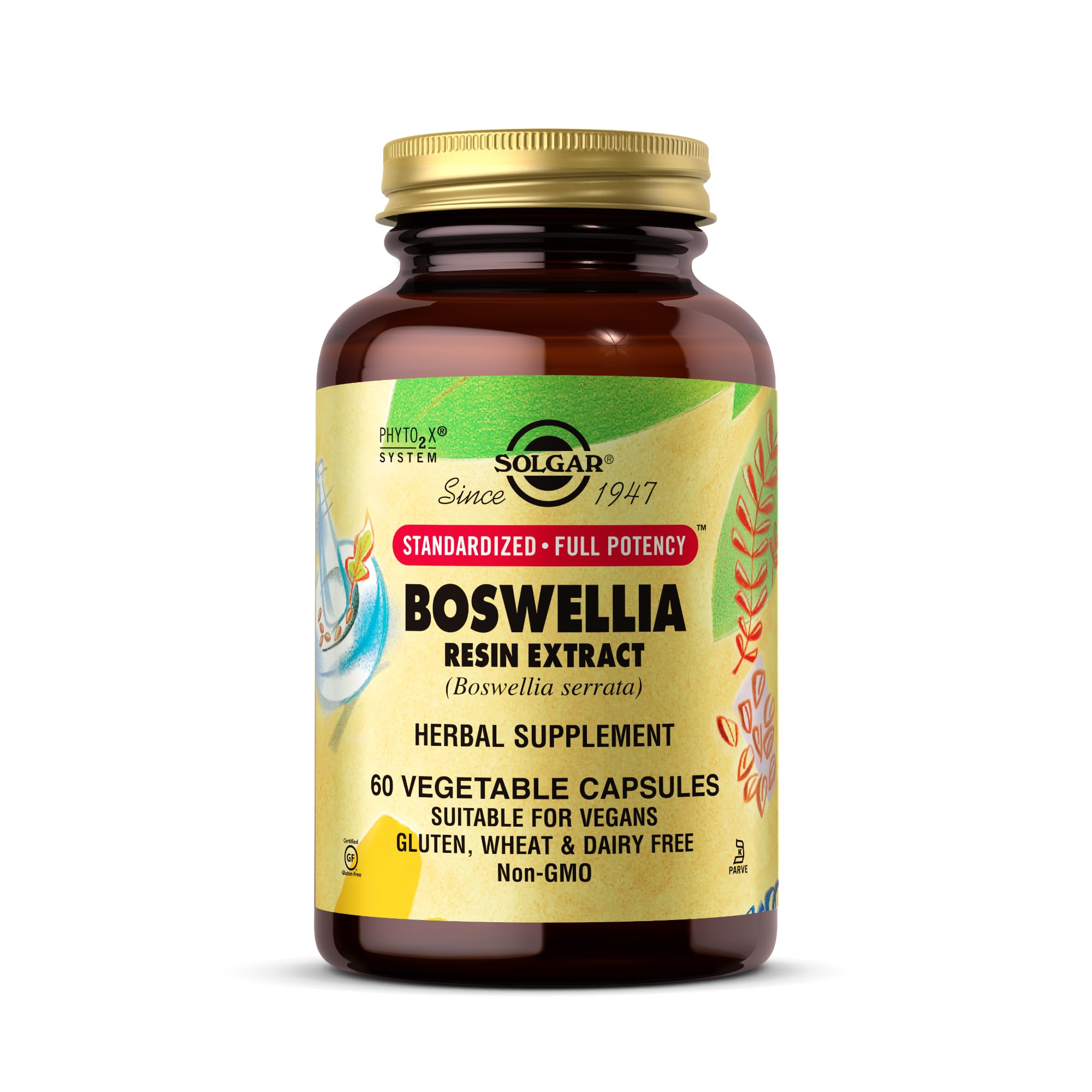Solgar Boswellia Resin Extract Vegetable Capsules - Pack of 60 - Frankincense, Premium Botanical Extract - Anti-Inflammatory, Supports Joint Health - Vegan