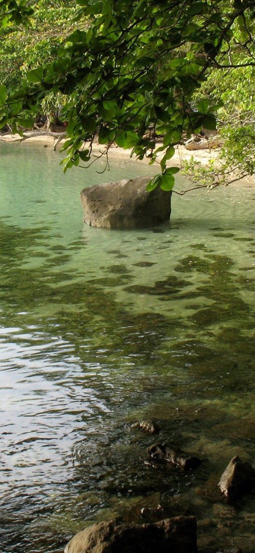 PeelitStickit, Beautiful Nature Wall Murals, ID-3227, vinyl