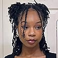 ZRQ 12 Inch Micro Twist Crochet Hair Bob Crochet Braids Mini Pre-twisted Passion Twist Mini Senegalese Twist Crochet Hair Pre-looped Micro Braids Crochet Hair Extensions(9 Packs,2#)