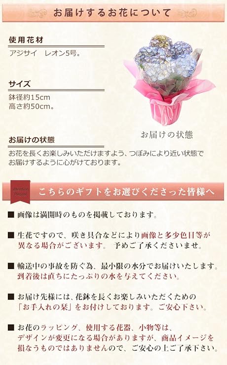 Amazon Bunbunbee 母の日 アジサイ鉢 希少品種 涼感漂う レオン 18 観葉植物 オンライン通販 Amazon Bunbunbee 母の日 アジサイ鉢 希少品種 涼感漂う レオン 18 観葉植物 オンライン通販