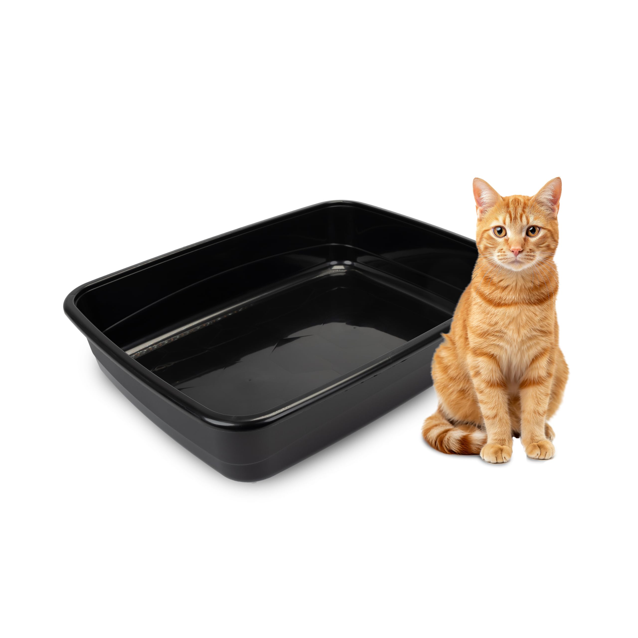 Ferplast Cat Litter Box, Open Cat Litter Tray EXTRA LARGE, Easy to Clean, in Plastic, L 49.5 x W 64.5 x H 14.5 cm, Black
