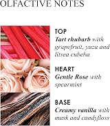 Molton Brown Delicious Rhubarb & Rose Aroma Reed Diffuser 150 ml view 2