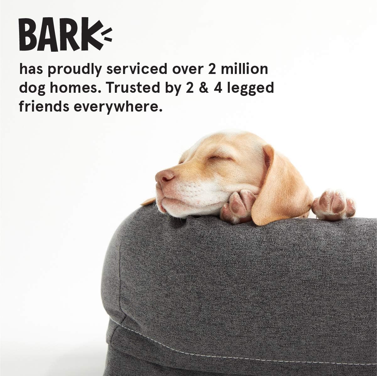 Barkbox Memory Foam Dog Bed | Plush Orthopedic Joint Relief 2-1 Crate or Pillow Bed, Machine Washable + Removable Cover; Waterproof Lining, Includes Squeaker Toy | Medium | Grey : Pet Supplies