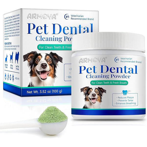 DENTAL POWDER 30包入り×4 DENTAL POWDER デンタルパウダー 30包 - メルカリ
