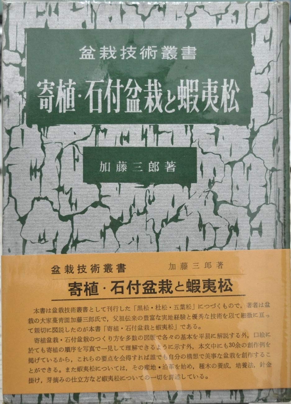 購入超特価 加藤三郎 寄植 石付盆栽と蝦夷松 19a コレクション新作が登場 Www Cfscr Com