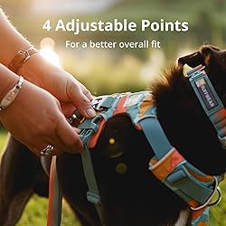 Ruffwear, Front Range Dog Harness, Reflective and