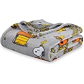 Berkshire Blanket Peanuts® VelvetLoft® Cute Character Snoopy Plush Oversized Kids Throw Blanket, Peanuts Snoopy and Woodstock Happy Halloween Spooky Chateau Grey (50in x 60in)