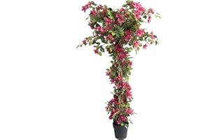 Damomo 5 Feet Artificial Bougainvillea Tree with Flowers in Plastic Pot Faux Blooming Tree for Decor Indoor or Outdoor Home Office, 1 PCS(63 inch)