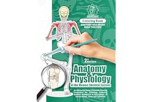 Anatomy and Physiology of the Human Skeletal System: An Interactive Scientific Coloring Companion for Osteology | Detailed Il