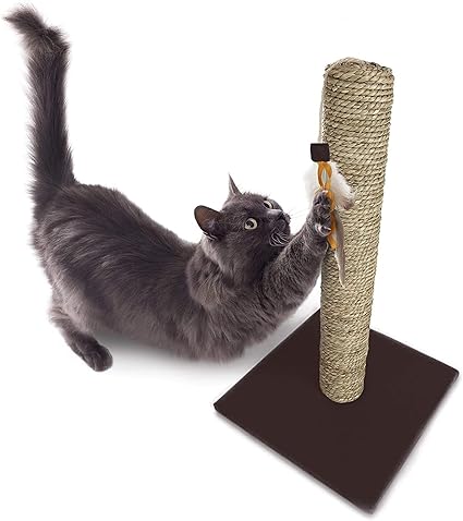 seagrass scratching post