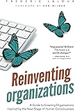 Reinventing Organizations