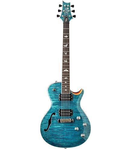 Amazon.com: PRS SE Zach Myers 594 Electric Guitar, Myers Blue