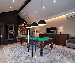 LFSEMINI Pool Cue Holder, 2-Cue Portable Pool Stick