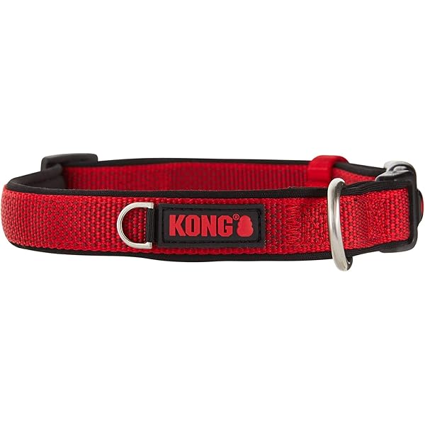 kong padded leash
