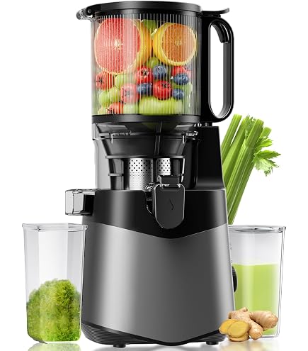 Amazon.com: Zasmira Cold Press Juicer Machines SJ30: Home & Kitchen