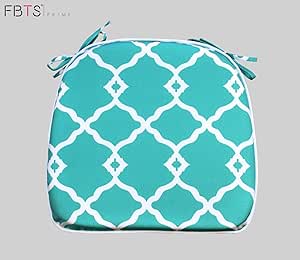 Amazon.com : FBTS Prime Outdoor Chair Cushion (Set of 2 ...