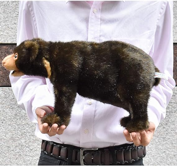 webkinz sun bear