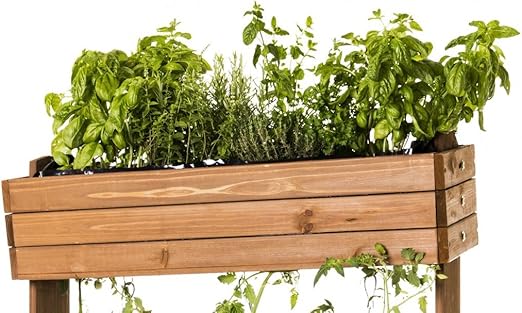 Bancal Madera Macetero mesa Beet hierbas Valla de tomates pérgola ...