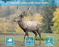 GardePro E5S Trail Camera 2 Pack, 64MP 1296p, Game