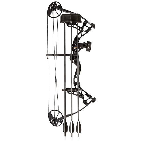 Best Compound Bow for the Money 2019 Reviews and Tips