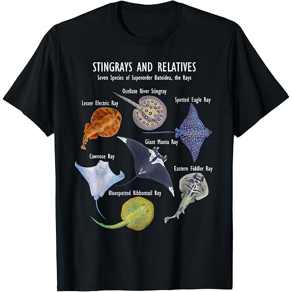 Amazon.com: Manta Ray Sea Stingray T-Shirt : Clothing, Shoes & Jewelry