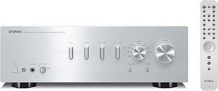 pioneer system