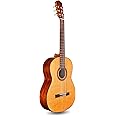 Cordoba C5 CD Lefty Classical Acoustic Nylon String Guitar, Iberia Series