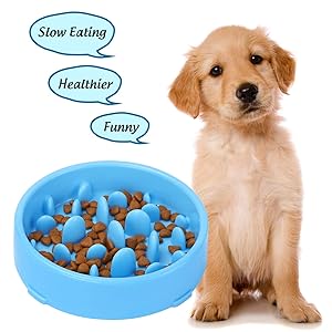 Top 10 Best Slow Feeder Dog Bowls Tested And Unbiased Reviewed