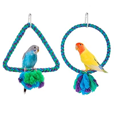 bird swings