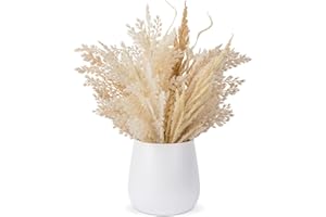 HOLLYONE Faux Pampas Grass with Vase, Artificial Pampas Grass Flowers Bouquet Plant Fluffy Boho Home Decor Fake Pompass Pompous Grass Floral Arrangement for Wedding Party Table Room Decorations Taupe