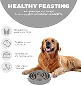 Outward Hound Slow Feeder Dog Bowl Large Grey - Promotes Healthy Digestion view 3