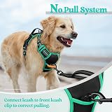 rabbitgoo Dog Harness Small No Pull Reflective Adjustable Vest Black Mintgreen view 6