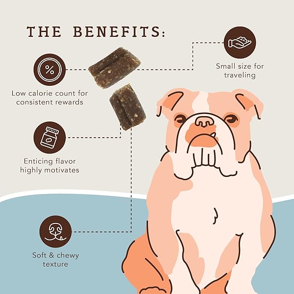 NATURAL DOG COMPANY TRAINING TREATS, PEANUT BUTTER AND JELLY, TINY SIZE, ALLERGEN-FREE INGREDIENTS, 8 OZ BAG