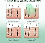 Botanic Hearth Tea Tree Shampoo 237 ml and Conditioner 118 ml view 5