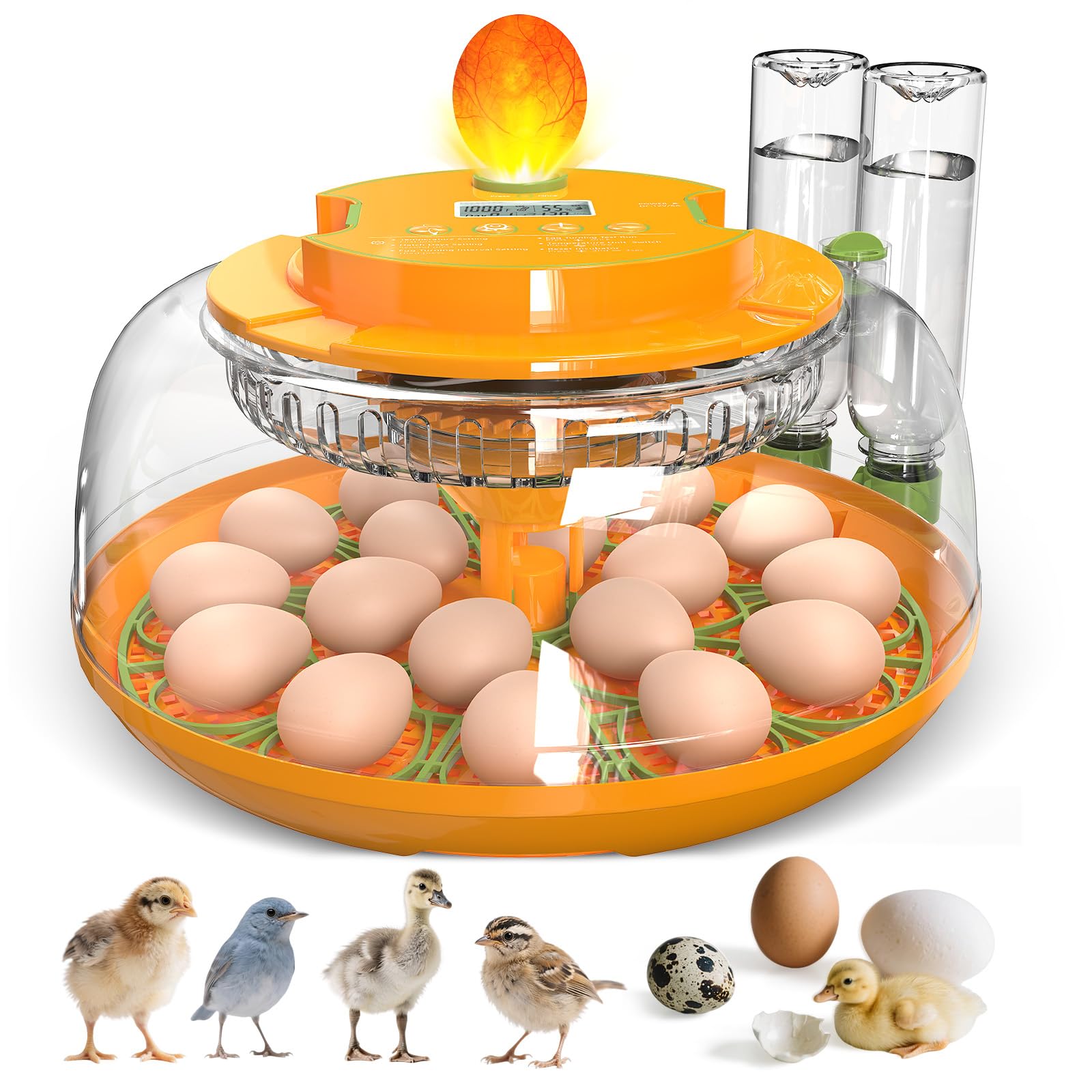 Photo 1 of 18 Egg Incubators for Hatching Eggs, Egg Incubator Incubator with Automatic Turning and Humidity Control, Auto Water Replenishment, 2 Size Trays, Air Vent, for Chicken Duck Quail Goose Eggs